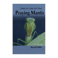 How to Care for Your Praying Mantis