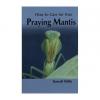 How to Care for Your Praying Mantis Photo