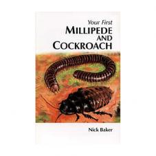 Your First Millipede and Cockroach