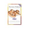 Burmese Pythons Photo