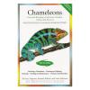 Care and Breeding of Chameleons Photo