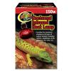 Zoo Med Nocturnal Infra Red Bulb Photo