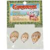 Hermit Crab Shells Photo