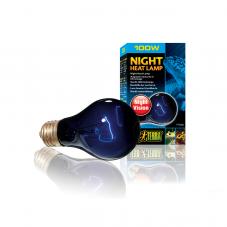 Exo Terra Night Glo Bulbs