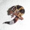African Fat Tailed Gecko Photo