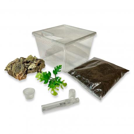 Exotic Pets Essentials Spiderling Kit - Housing for Spiderlings