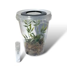 Exotic Pets Essentials Mantis Starter Kit (Housing for young Mantids)