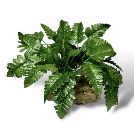 Exotic Pets Leather Fern Silk Plant