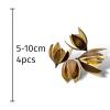 Exotic Pets Wild Lily Flower - 4 pods per pack (Approx 5-10cm)