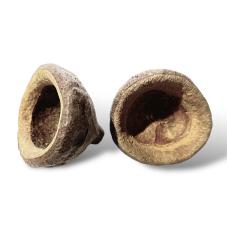 Exotic Pets Chapeuzinho Pods (Natural decor for your terrarium)