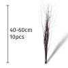 Exotic Pets Natural Birch Twigs - Bunch of 10 (Approx 40-60cm)