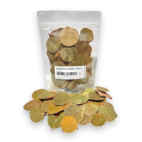 Exotic Pets Moneta Leaf Litter