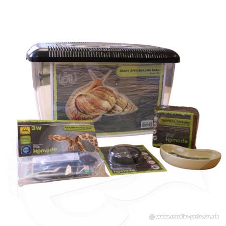 Komodo Basic Giant African Land Snail Kit