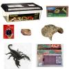 Emperor Scorpion Kit photo